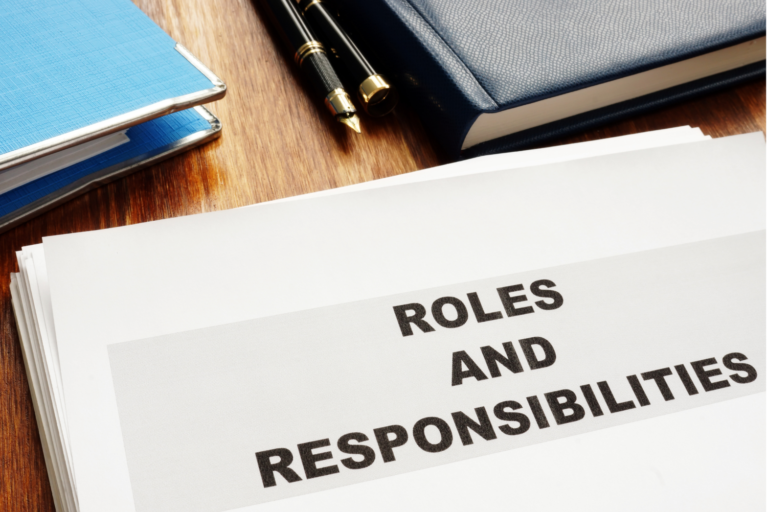 Updated roles for team representatives & early childhood representatives.